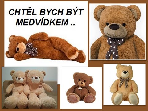 CHTĚL BYCH BÝT MEDVÍDKEM ..