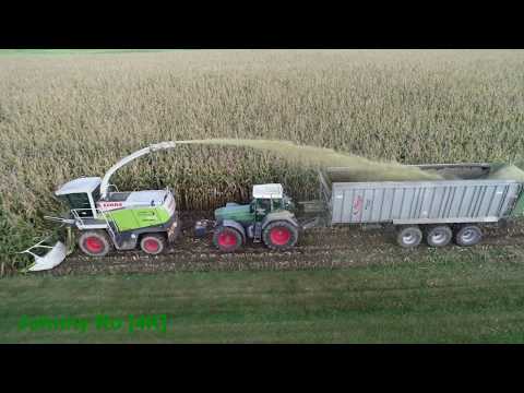 Maishäckseln 2019 Teil 2 LU Loritz mit Claas Jaguar 900, Fendt 936 926 Schuitemaker, Fliegl ASW [4K]