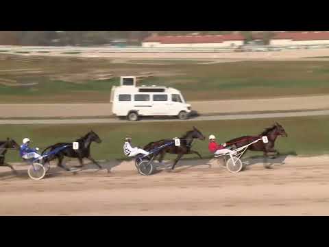 2022.11.12. 05. futam - DOLOVOI DÍJ