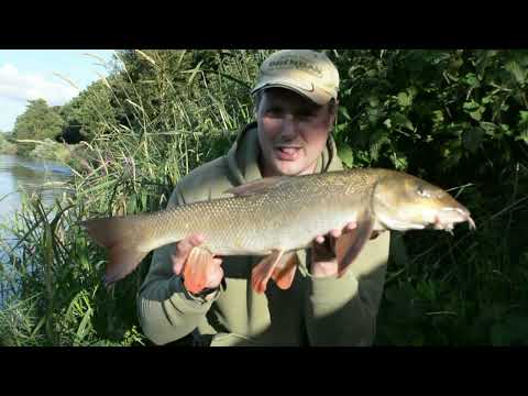 Fishing On The Trent For More Barbel #Barbel #Barbelfishing