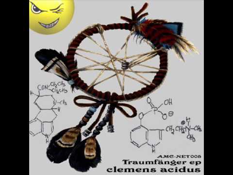 AMC-NET005 A2 Clemens Acidus - Mercury Poisoning (Hardacidmix) - Traumfänger EP