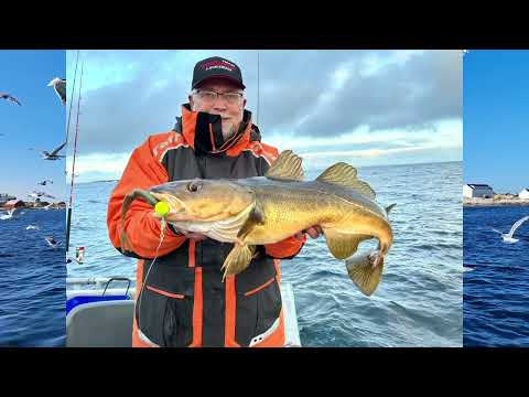 Norwegentour Juli 2025 - Froya - Titran - Sei dabei! Angeln bis der Arzt kommt!