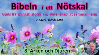 Thumbnail for video: Bibeln i ett Nötskal Del 8: Arken och Djuren