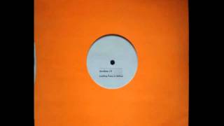 Section 25 - Looking from a Hilltop (Remix Rare 2002)