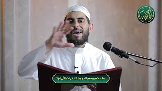 صورة ما حكم رسم الحيوانات ذوات الأرواح؟ الشيخ خباب الحمد