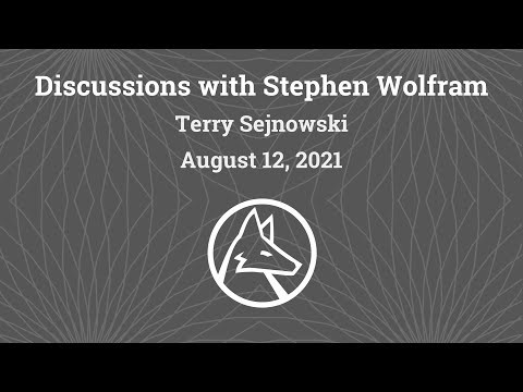 A conversation between Terry Sejnowski and Stephen Wolfram