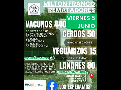 5/6/2026 Local Casupá - Florida - Feria mensual - Milton Franco | Clic Rural