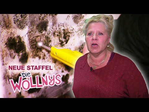 Mold in the new Wollny house: Silvia is worried! 😧 | Episode 106 | The Wollnys | RTLZWEI