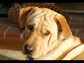 Ruben Beautiful Boy SD 480p