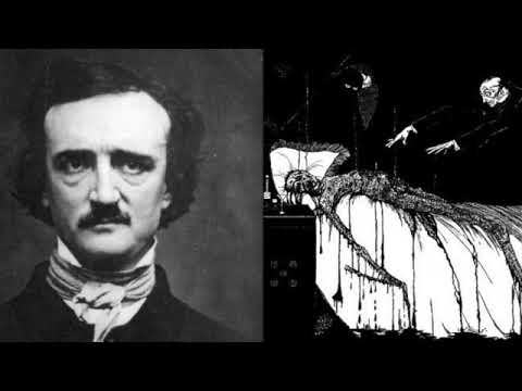 Le Chat Noir Edgar Allan Poe Babelio