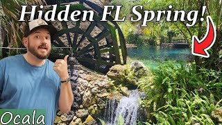 Florida's Most Picturesque Hidden Spring. (From the right angle)