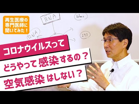 皮膚を介したコロナウイルス感染: これは実際に危険が存在する期間です