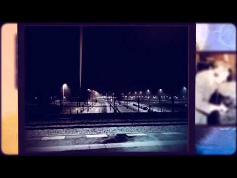 adsx - DBZ seven (elec ice remix)