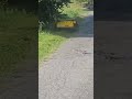 Kur Tiešsaistē Iegādāties Vigorun VTLM800 Bezvadu Kāpurķēžu Pļaušanas Mašīnu