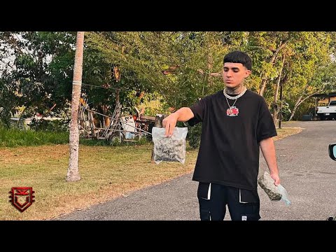 NNNANDOOO X DIONEL - RONCAME (VISUAL)