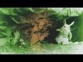 Jefferson Airplane - White Rabbit (Psychedelic ...