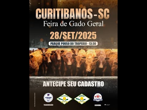 FEIRA DE GADO GERAL - CURITIBANOS