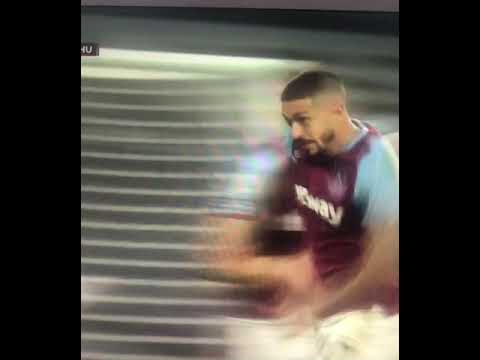 Niklas Holmgren kan inte tro sina ögon