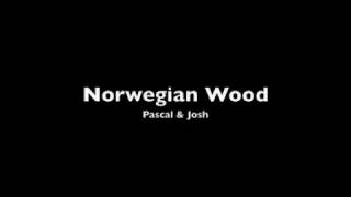norwegian wood cover - pascal & josh.