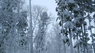 preview picture of video 'Wandern Franken: Schneeschuhwanderung am Hetzles'