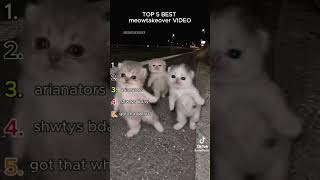 #cute #cat #kitty #可愛い #猫動画 #猫ミーム