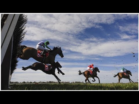 Missbrauchsskandal gegen deutsche Nachwuchsreiter: Verband FN reagiert