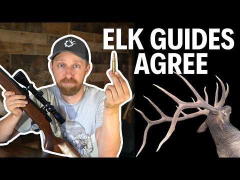 I Asked 100 Elk Guides What the Best Elk Hunting Cartridge Is
