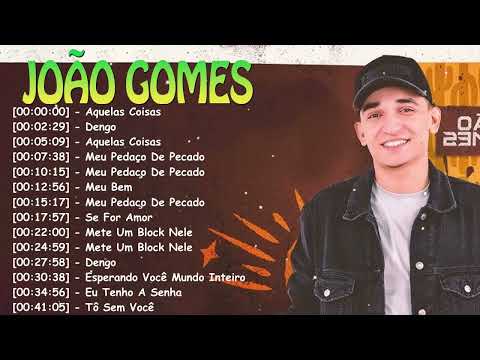 Greatest hits Top 20 músicas – João Gomes álbum completo forró nordestino