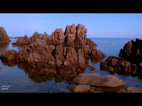 AnimoEx - Depth (Original)