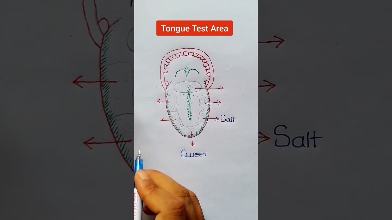 Tongue Test Area