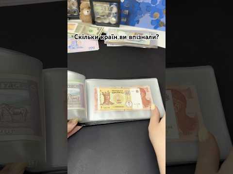 Альбом для хранения банкнот с черной вставкой, черный - фото 1 - id-p3042467553