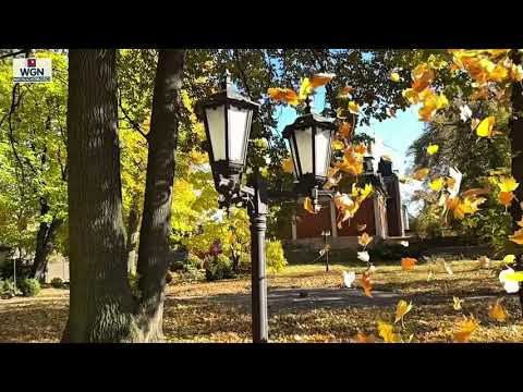 Willa z XIX w. na sprzedaż