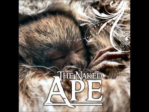 04 Zamurah - Unidos por el Apocalipsis