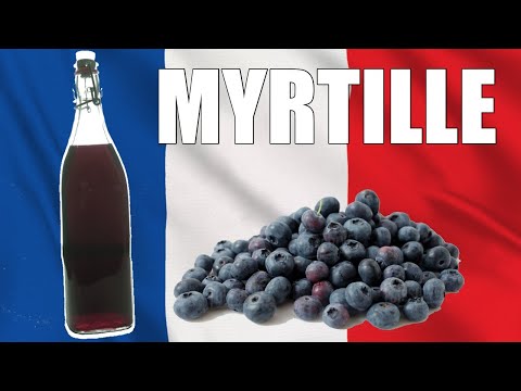 HOW TO MAKE MYRTILLE LiQUEUR BLUEBERRY