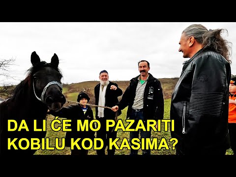 RIČI I HADŽIJA IDU KOD KASIMA DA PAZARE KONJA ZA SANELU