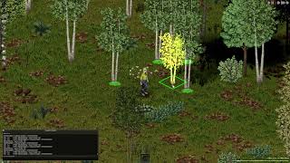 Project Zomboid - Double Lumber Jack Chop, Debug Mode