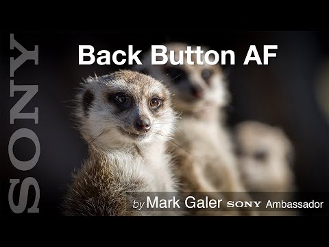 Back Button Focus for Sony Alpha Cameras (Pre 2020 Alpha Cameras)