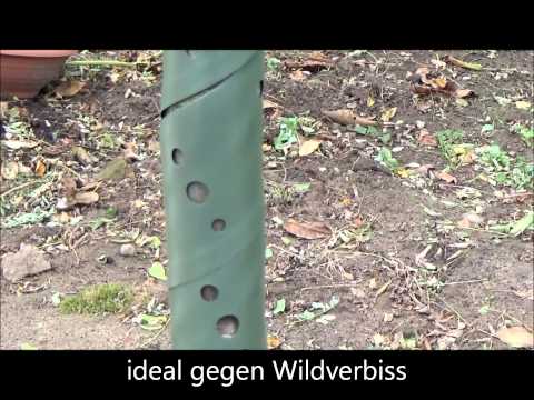 Tree spirals: a solution against browsing damage by wild animals