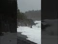 Wild Ocean
