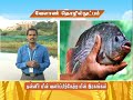 Pon Vilaiyum Bhoomi 24 11 2020 Agricultural Technology