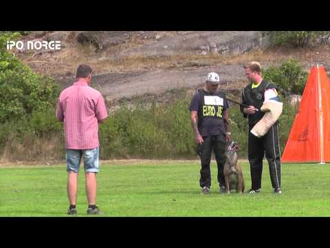 FCI NM IPO 2014 Kim Lyshaug - Brakeless Allie-Gator - C