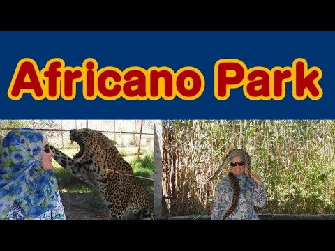 Africano Park- Alexandria, Egypt