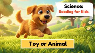 I'm a Scientist 1: Toy or Animal | English for Kids