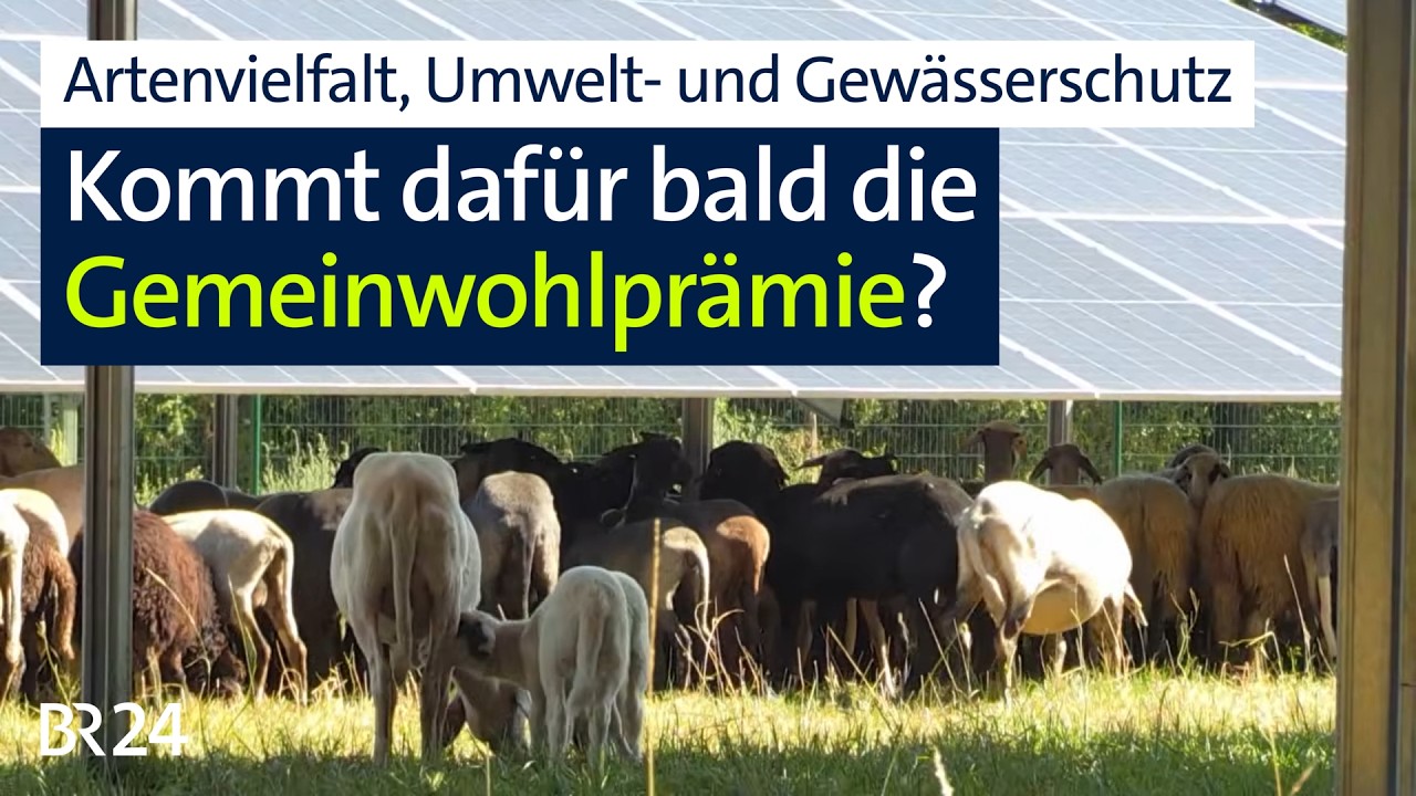 Kommt bald die Gemeinwohlprämie für Landwirte? | Abendschau | BR24