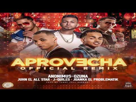 Aprovecha Remix   Anonimus ft Ozuna, Juhn El All Star, Justin Quiles y Juanka El Problematik