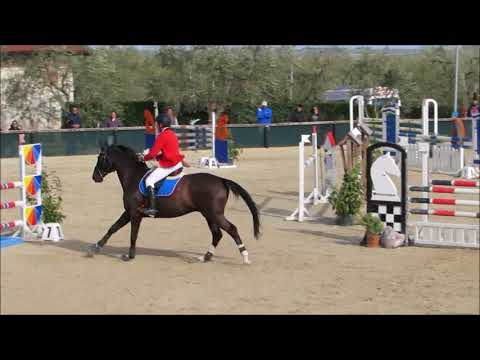 Simone & Gryon, stagione 2017