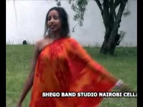 Sagal Arts Heestii GUDI New Video 2011.flv