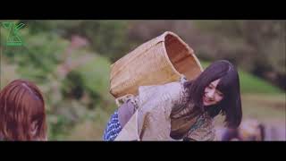 Vietsub + kara Nogizaka46   Boku no Shoudou