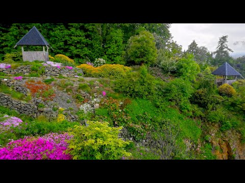 Karel Jaromír Erben - Kytice