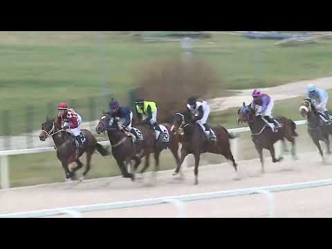 2022.11.27. 06. futam - SZUNYOGH ISTVÁN EMLÉKVERSENY HENDIKEP (Elit o.) (szintetikus pálya)